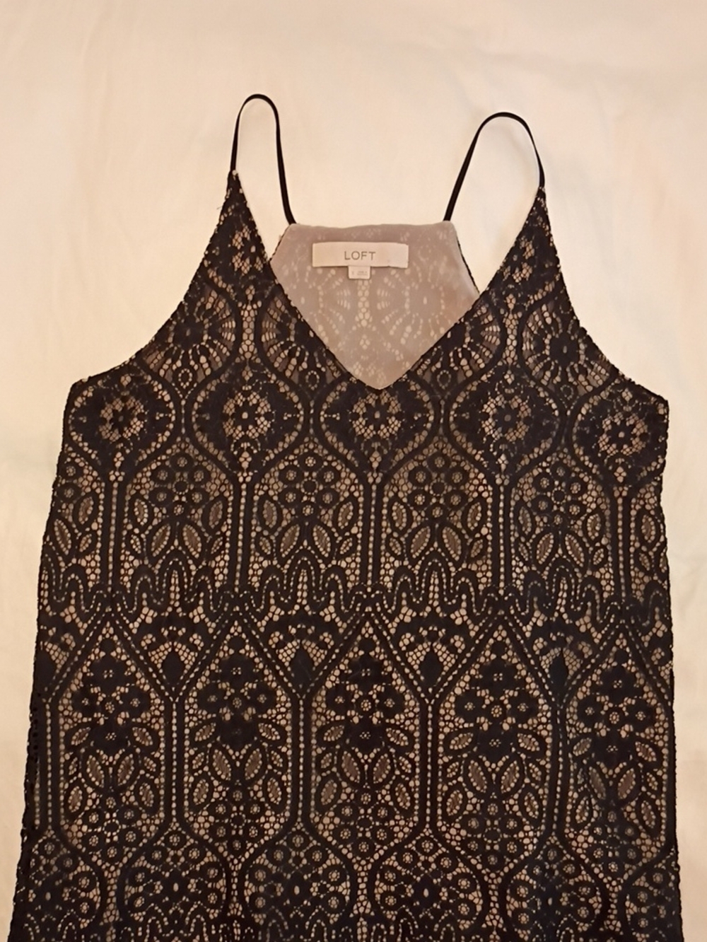 LOFT Black Lace Overlay Camisole